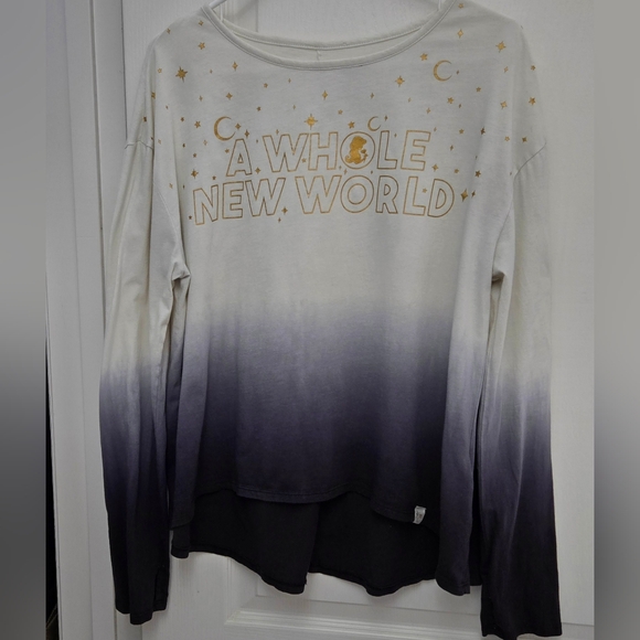 Disney Parks Jasmine A Whole New World Aladdin T Shirt Womens Ombre Sz Large - Picture 1 of 6